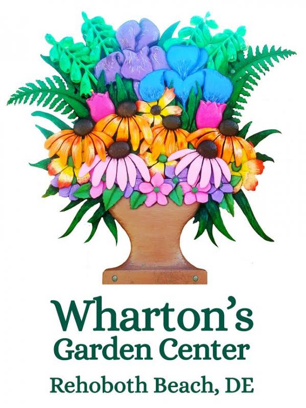 VOTE TODAY FOR WHARTON’S GARDEN CENTER & WHARTON’S LANDSCAPING Cape